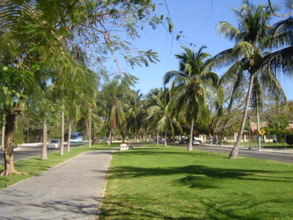 Huatulco breezeway