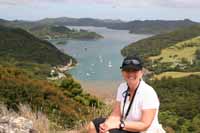 Top of Port FitzRoy harbor