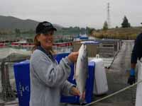 A salmon farm visit